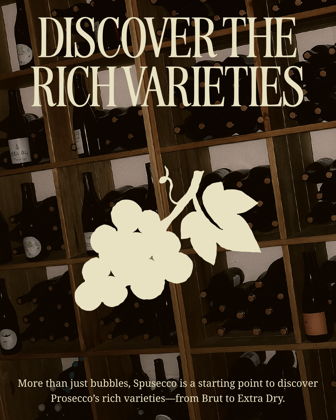 Spusecco - Prosecco Bar & Shop